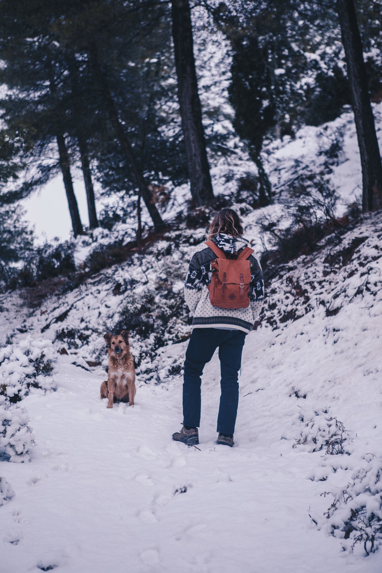 Sur Backpack - Canvas