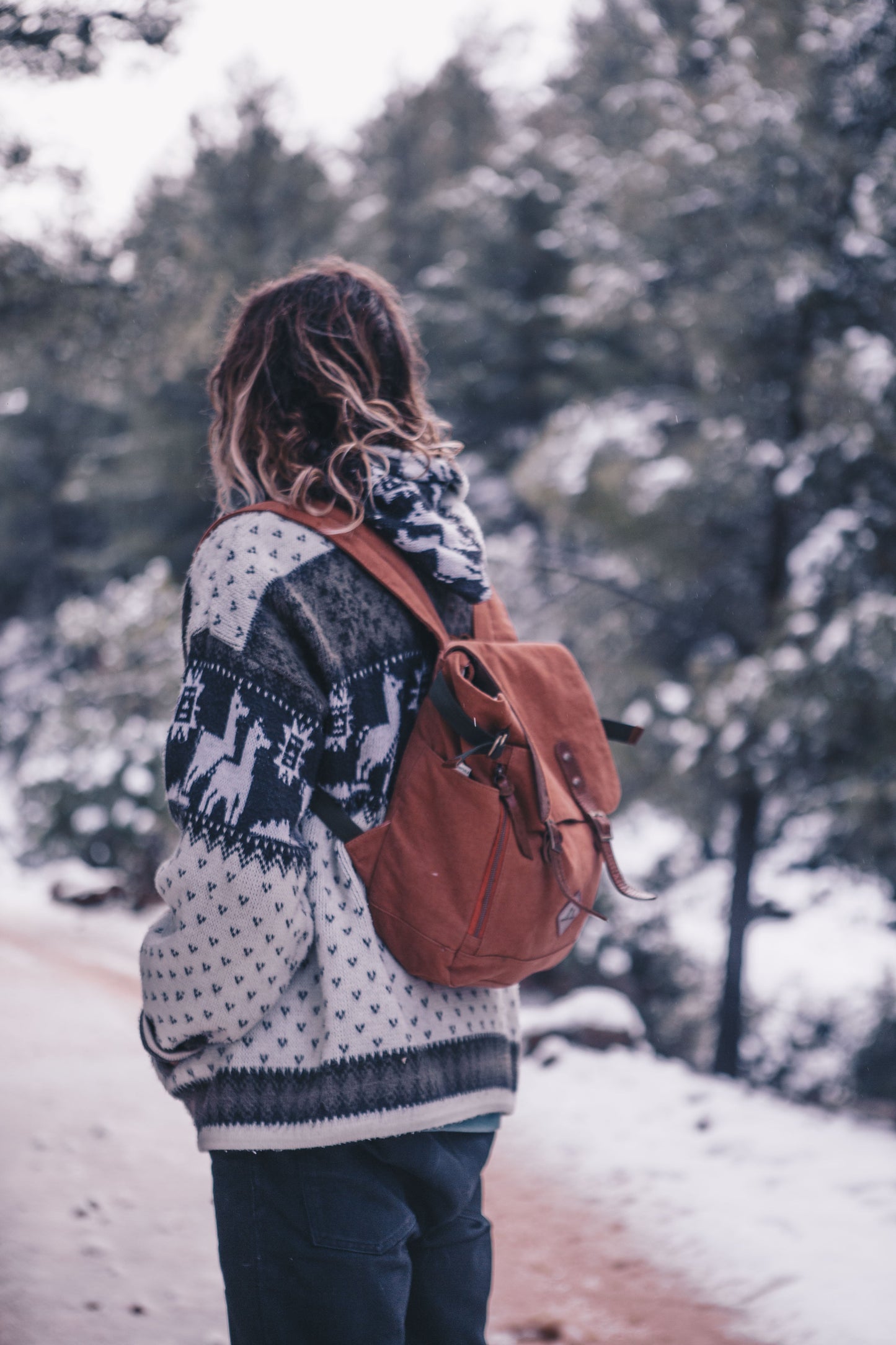 Sur Backpack - Canvas